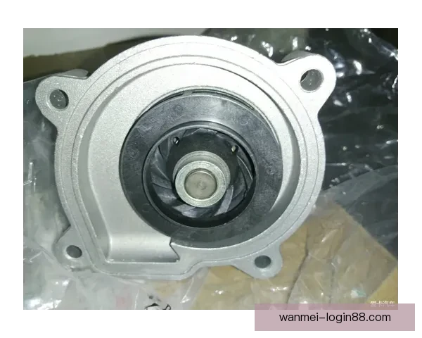 安东内利谈离合器操作技巧：感觉很棒但仍需不断练习与改进