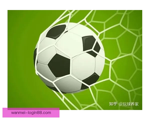 世界杯投注指南揭秘最全投注策略助你精准预测赛事结果